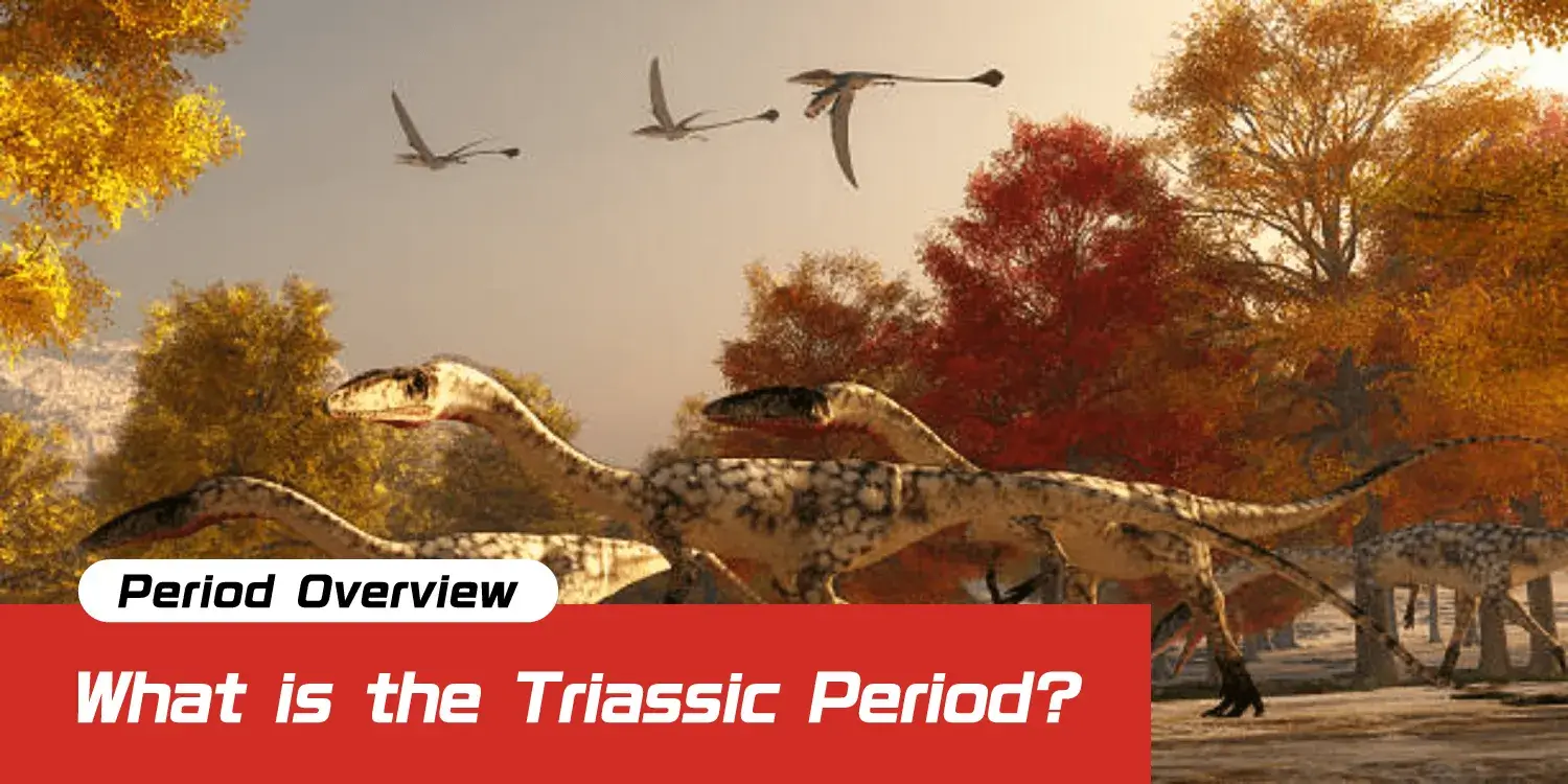 The Triassic Period: Were Dinosaurs Just "Minor Players"? The Drama of the Changing of the Guard on a Harsh Earth with 11% Oxygen