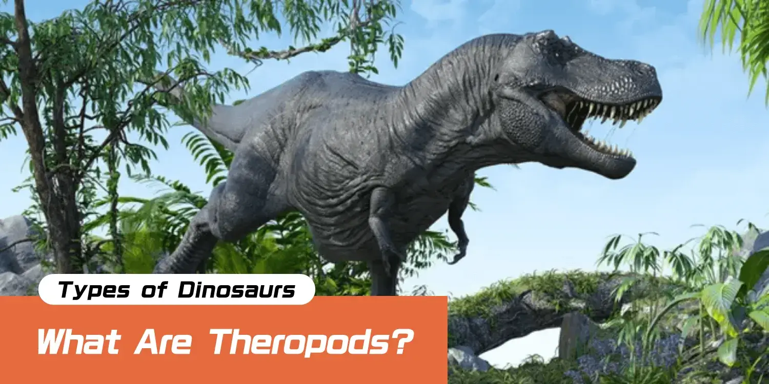 The Main Architects of Evolution: Theropods—The Most Successful Hunters in History and the Lineage That Evolved into Birds.