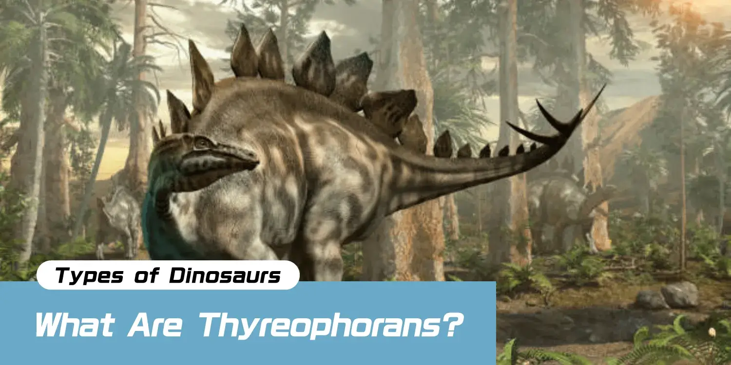 The Moving Fortresses of the Dinosaur World: Thyreophorans—An Evolutionary History Protected by Armor and Spikes.