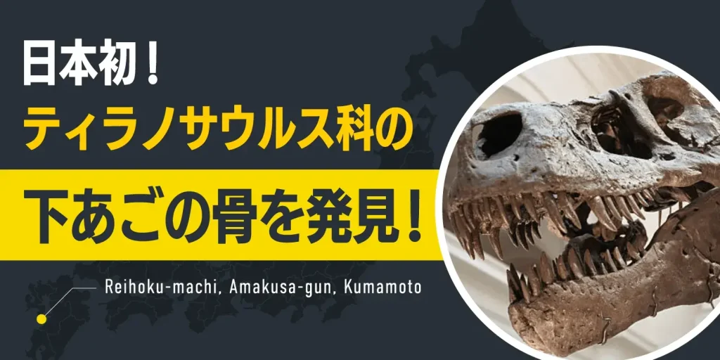 【ティラノサウルス科】国内初！熊本・天草で「下あご」の化石を発見。全長8mの新種か？