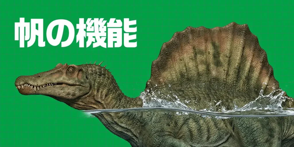 【最新研究】スピノサウルスの巨大な「帆」の機能とは?体温調節や水中移動の謎に迫る