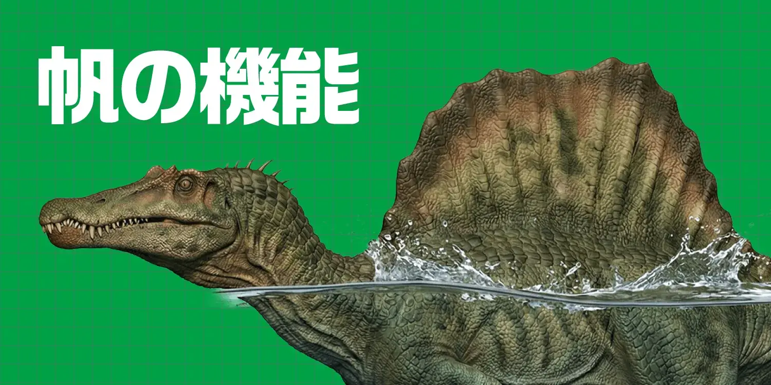 【最新研究】スピノサウルスの巨大な「帆」の機能とは?体温調節や水中移動の謎に迫る