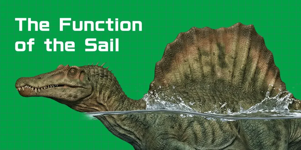 [Latest Research] What Was the Function of Spinosaurus's Giant "Sail"? Exploring the Mysteries of Thermoregulation and Underwater Locomotion