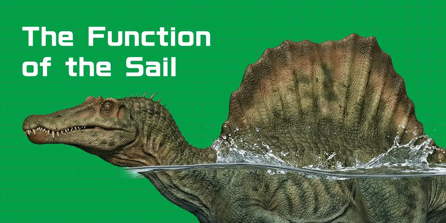 [Latest Research] What Was the Function of Spinosaurus's Giant "Sail"? Exploring the Mysteries of Thermoregulation and Underwater Locomotion