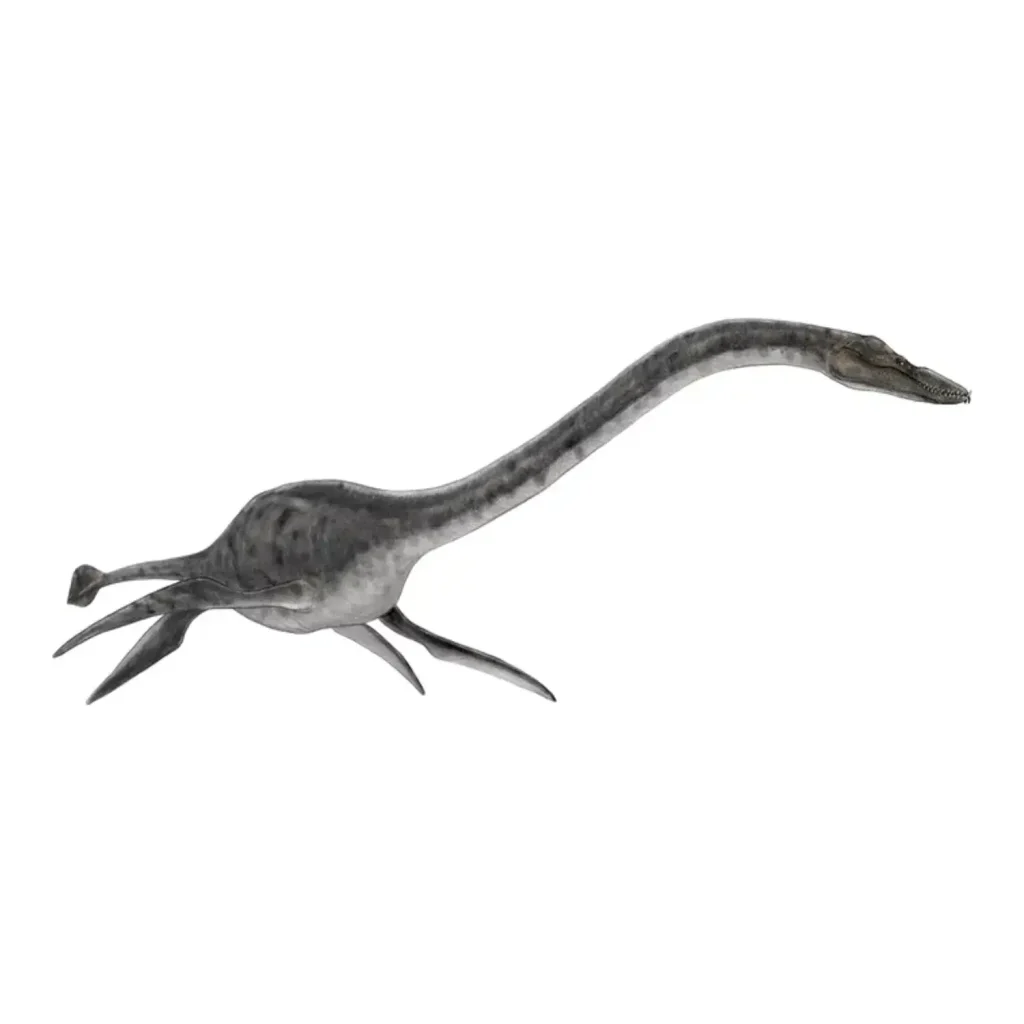 フタバサウルス・スズキイ（フタバスズキリュウ）