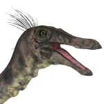 クチバシには歯が無く、おそらく、植物も動物も食べていた。