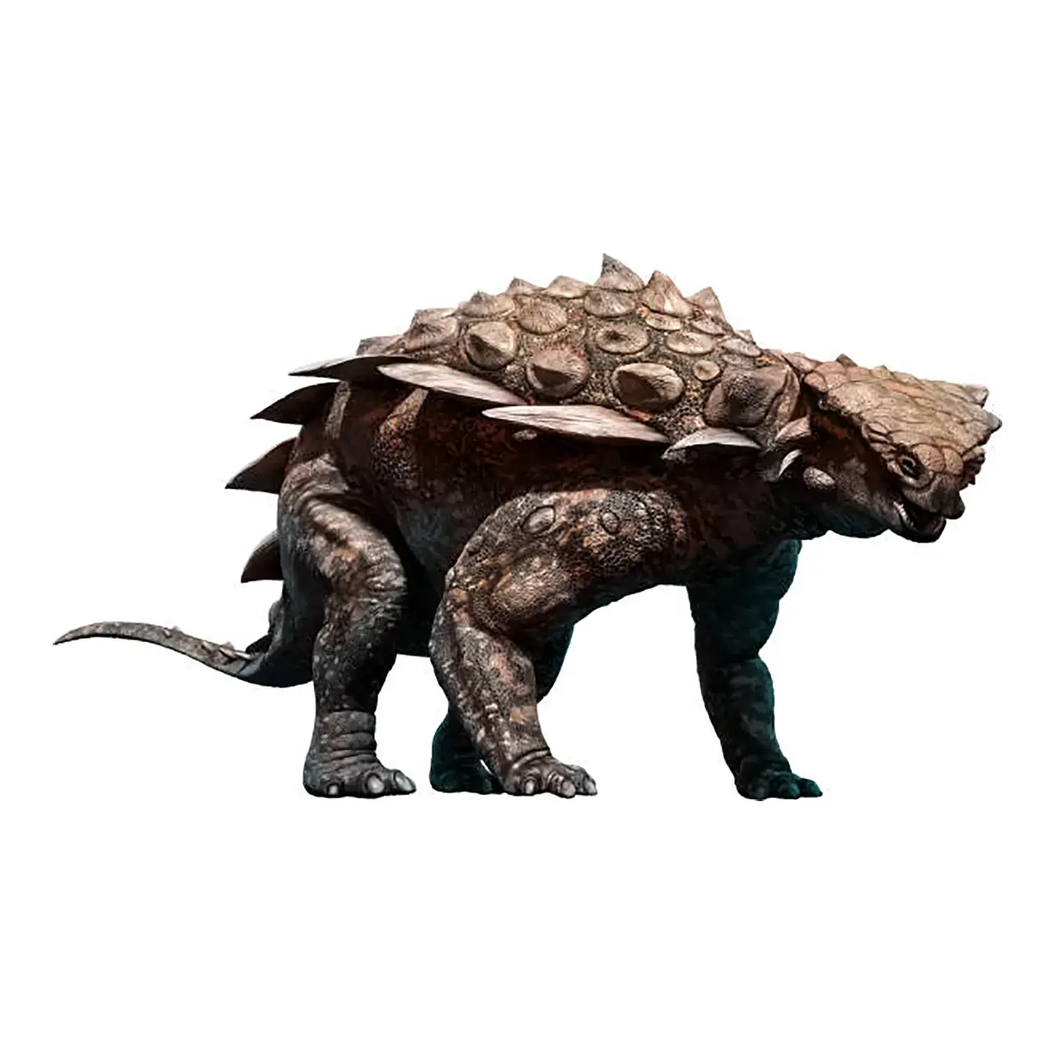 ガーゴイレオサウルス | 恐竜博物館.web