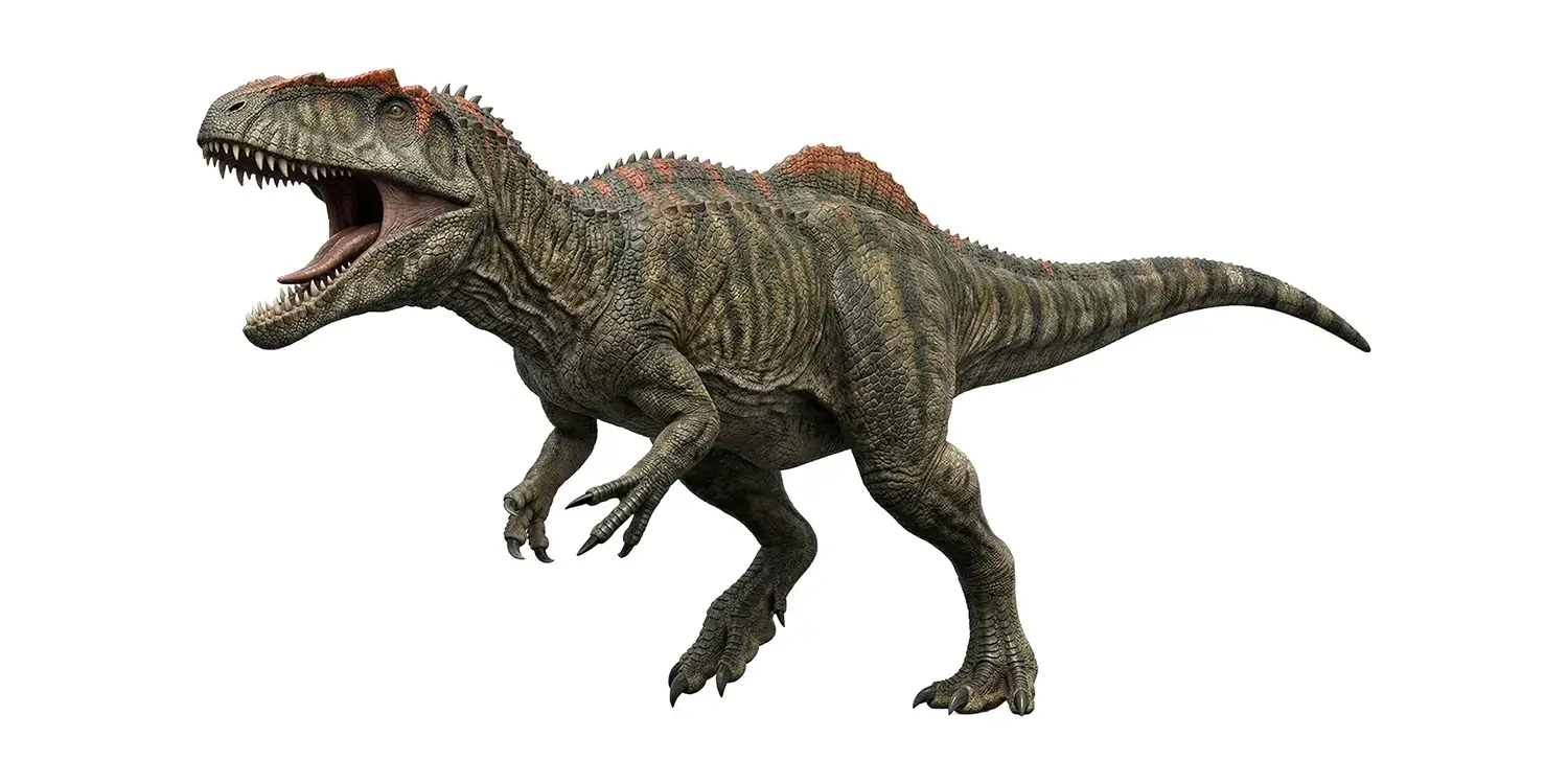 Which of the following provides evidence that Giganotosaurus may have hunted in packs?