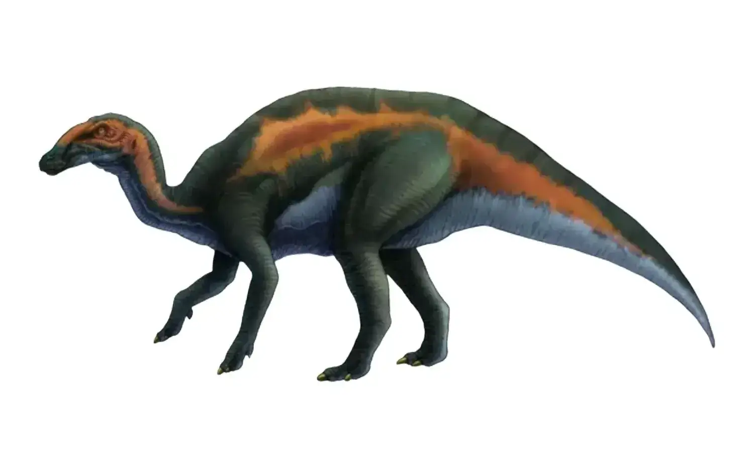 ハドロサウルス