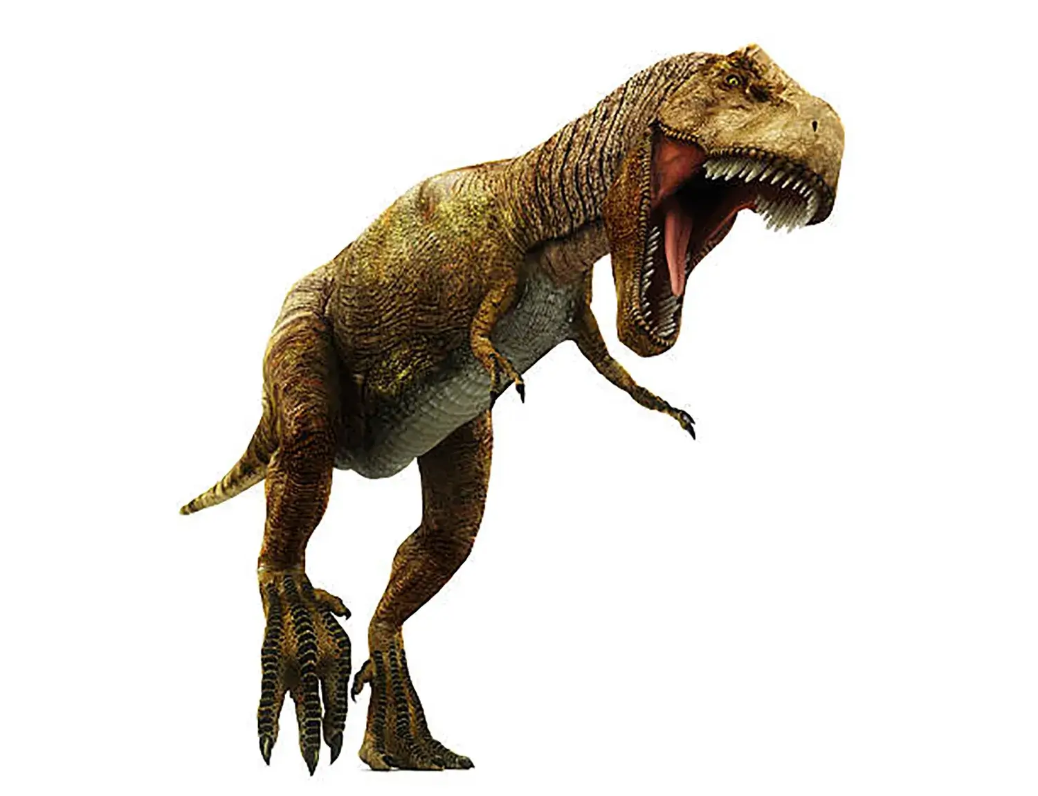 ティラノサウルスは短い前脚をどう使った？