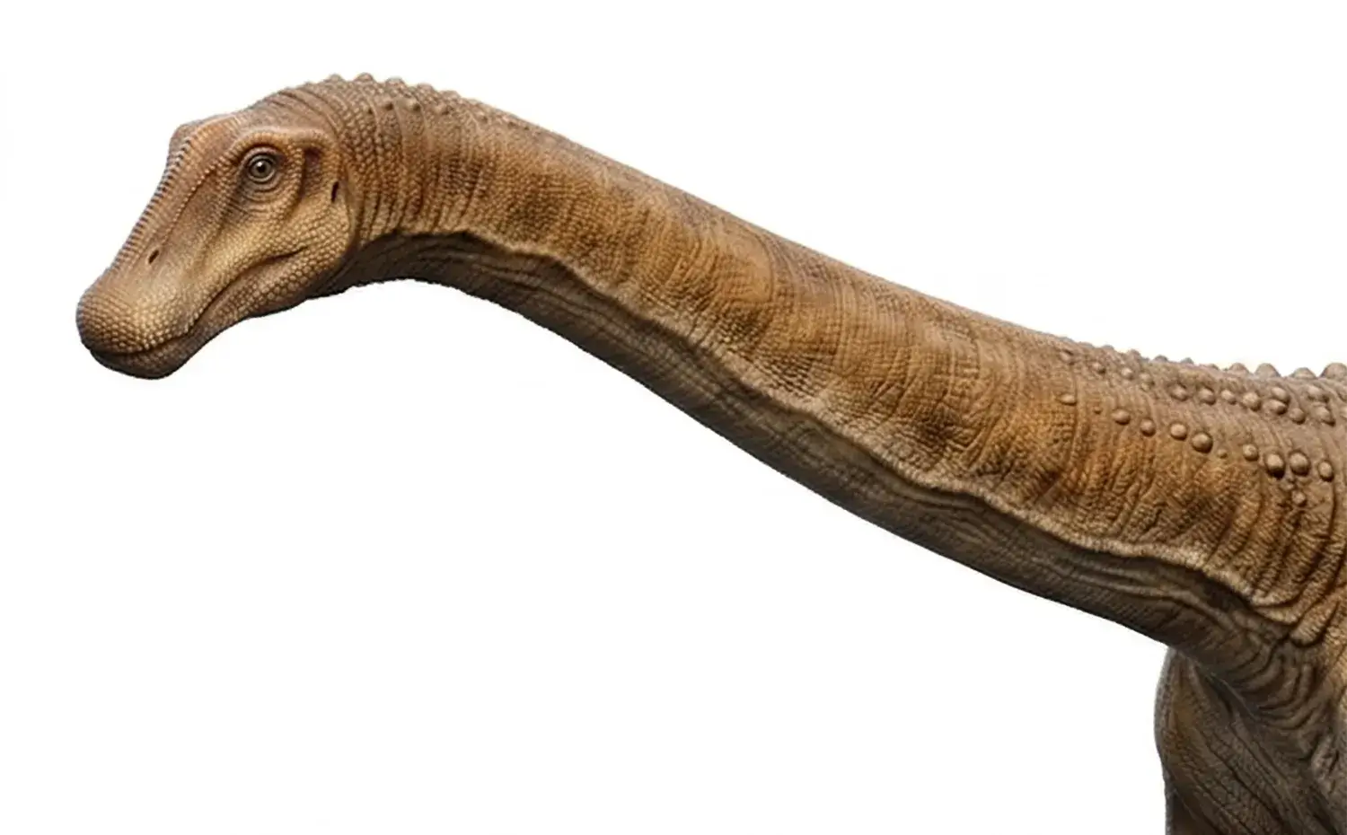 マシャカリサウルスは、肉食恐竜からどうやって身を守っていた？