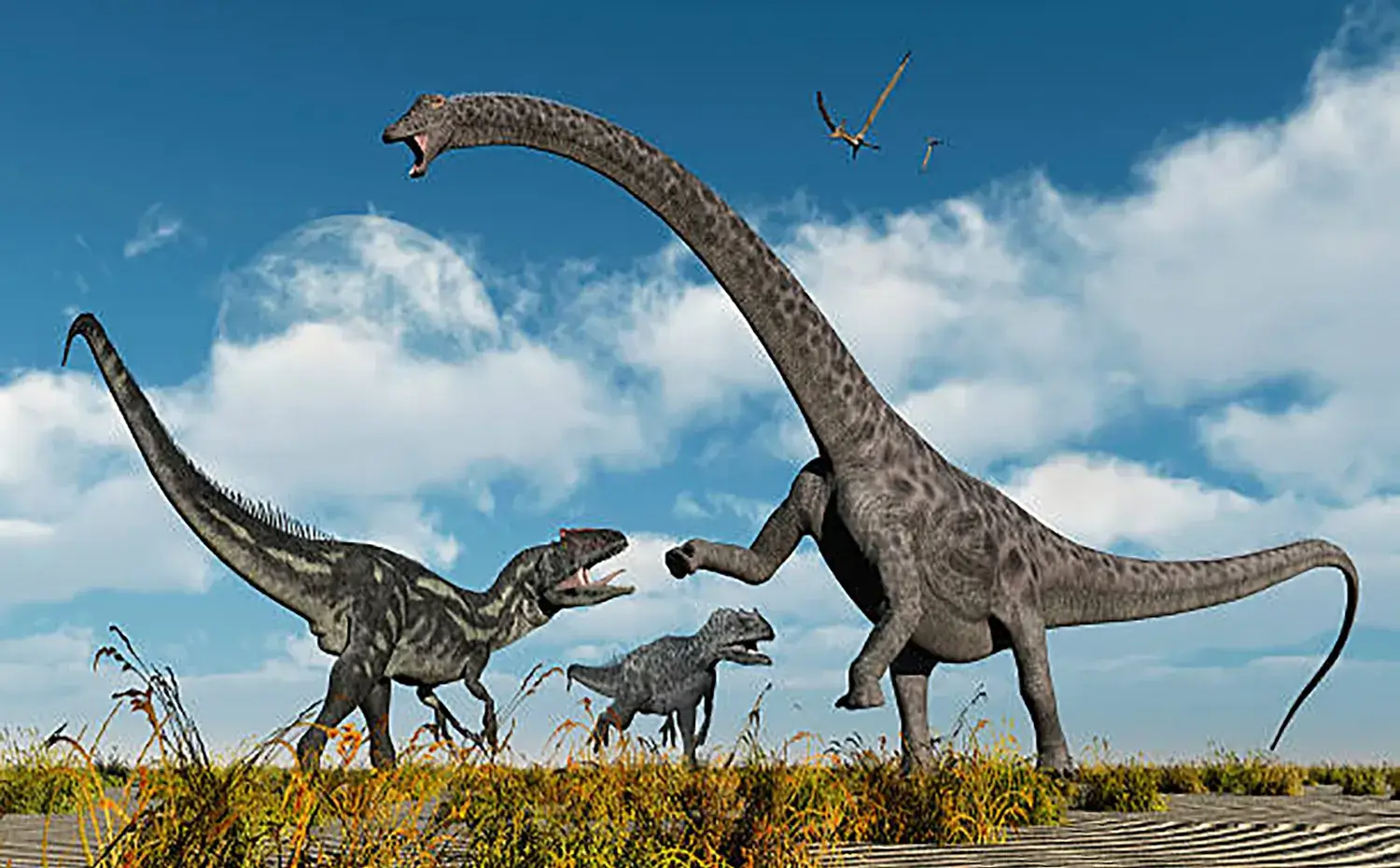 Which of the following was the signature attack of large sauropod dinosaurs with their long necks and tails?