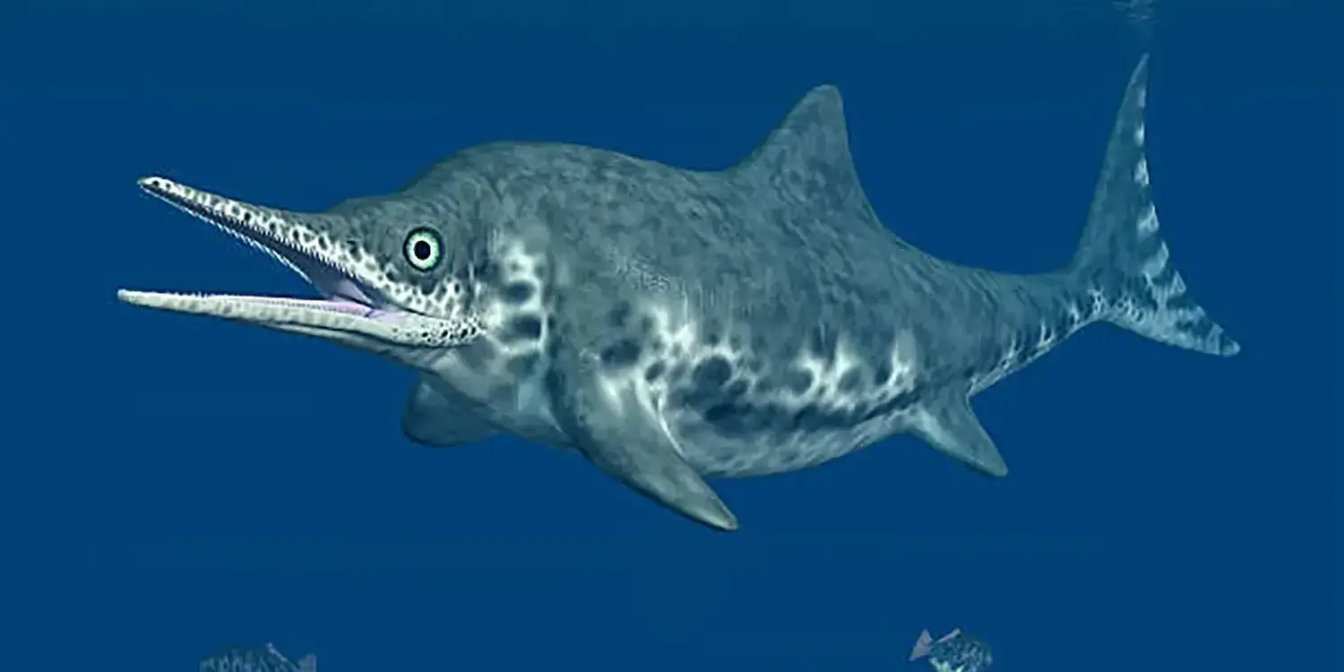 What fossil evidence showed that Ichthyosaurus reproduced without having to come ashore?