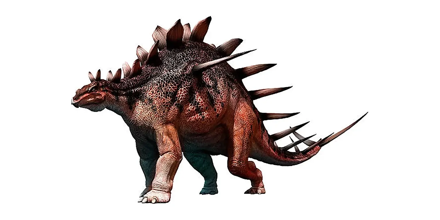What tragic event happened to most of the Kentrosaurus fossils during World War II?
