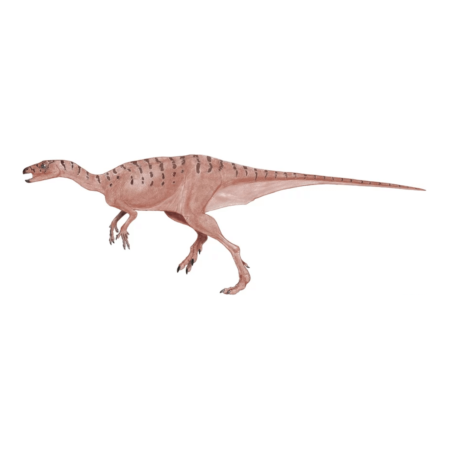 レソトサウルス