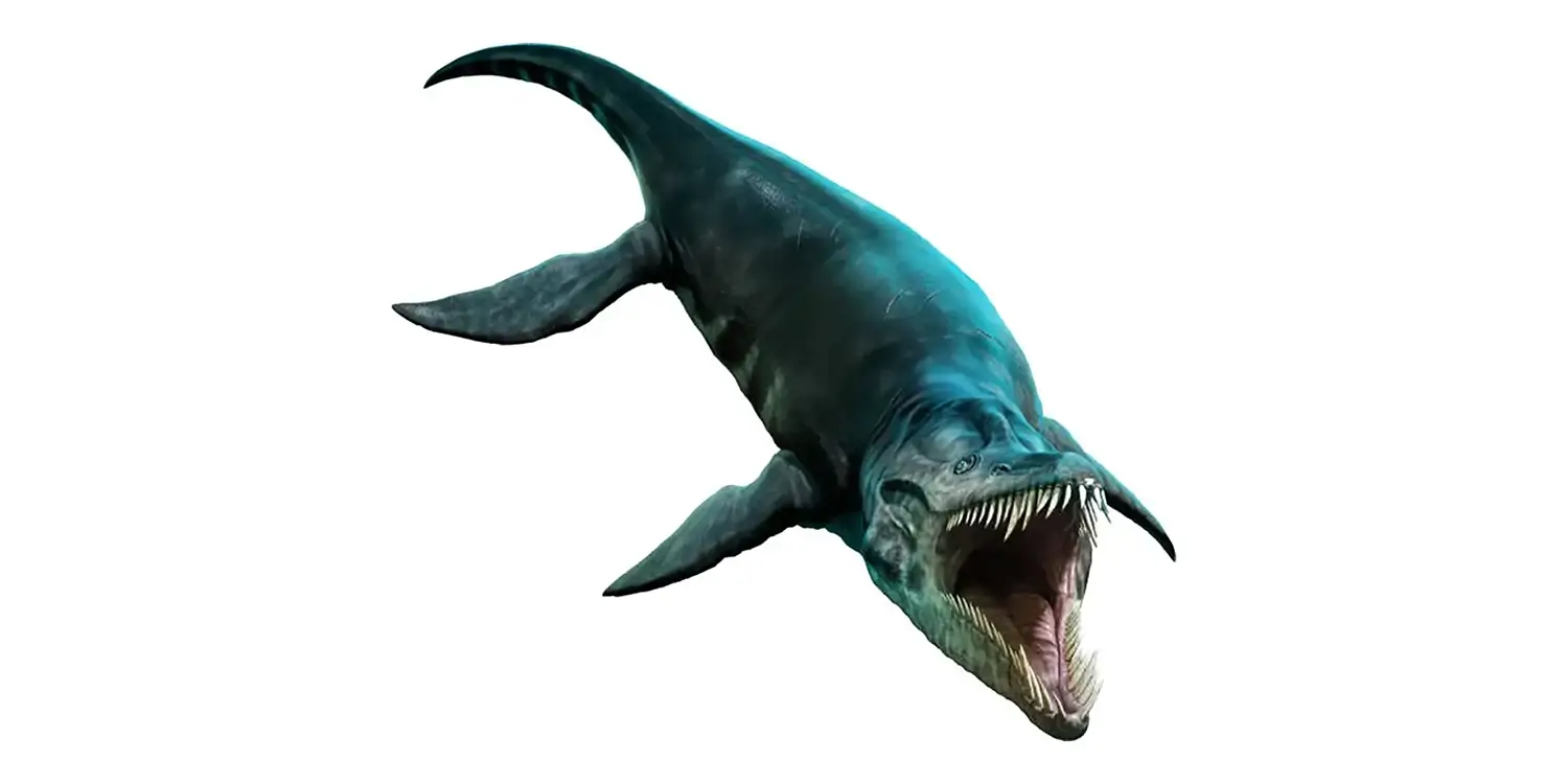 According to more recent estimates, how long might Liopleurodon have grown?