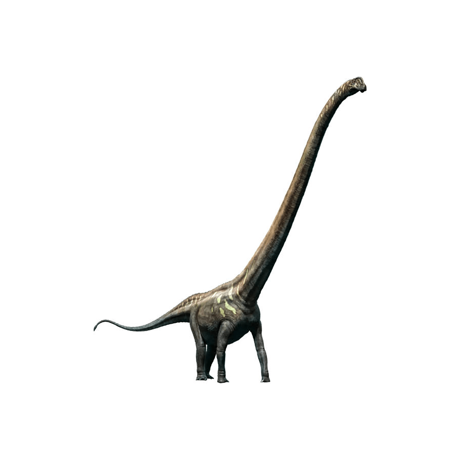 マメンチサウルス