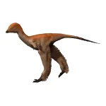 メイ