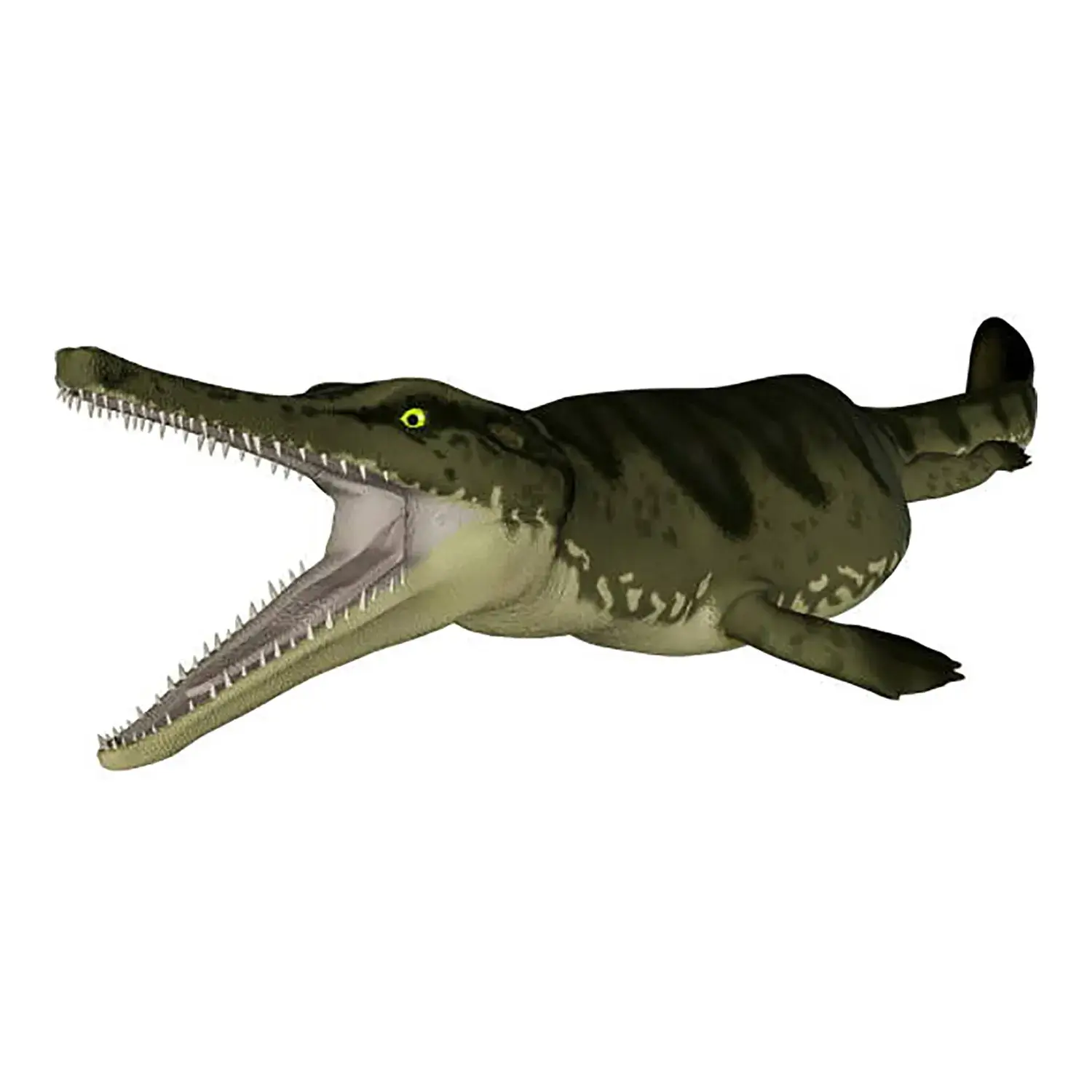 Metriorhynchus