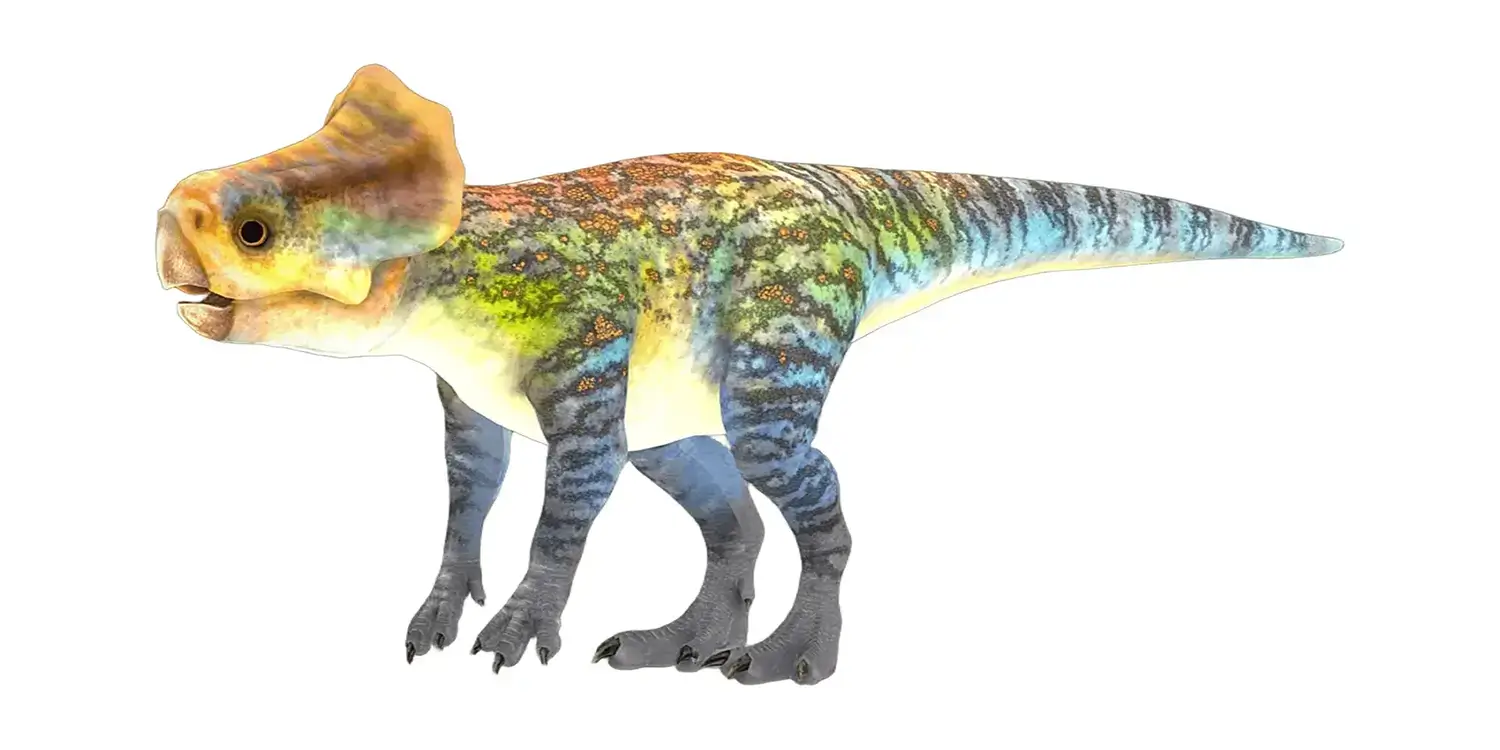 How did Microceratus and Psittacosaurus relate to each other in terms of when they lived?