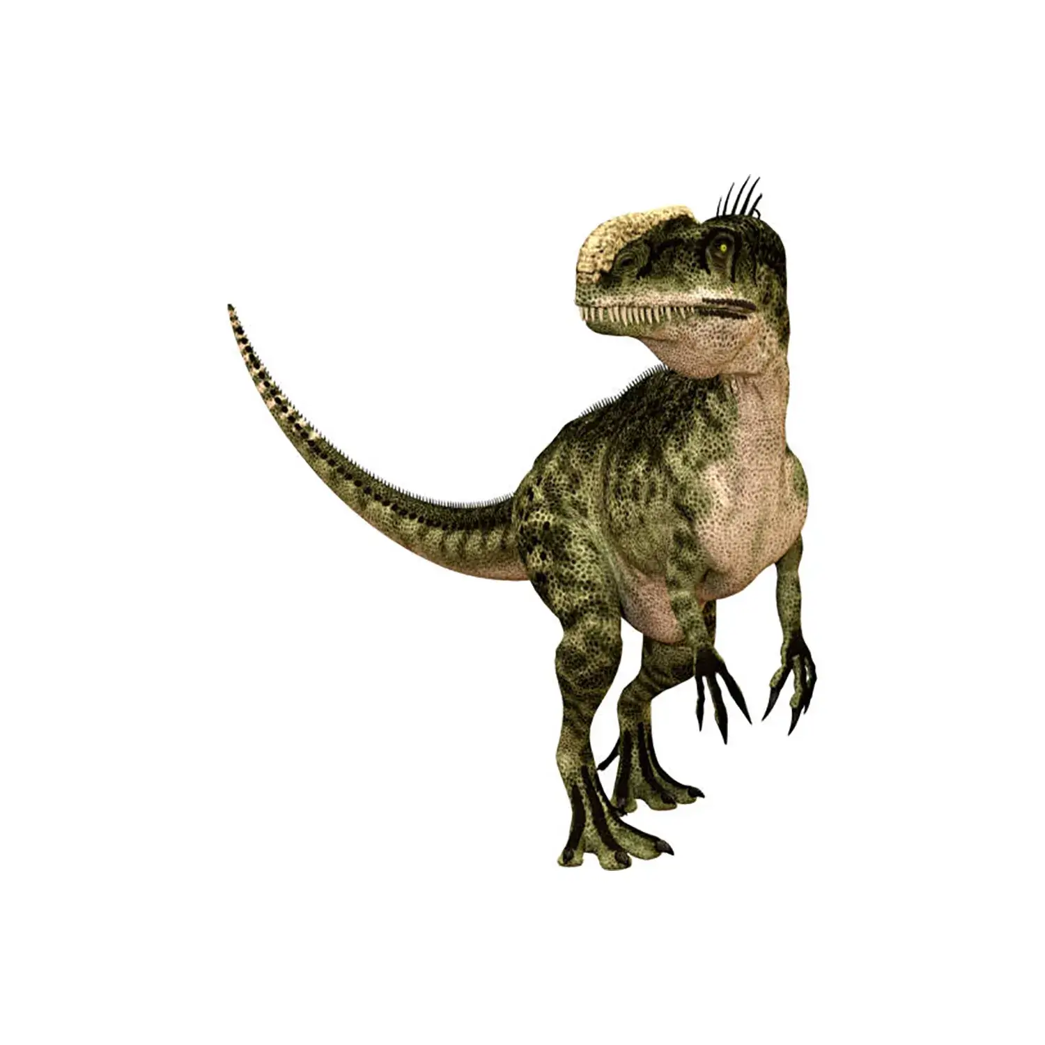 Monolophosaurus