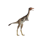 モノニクス