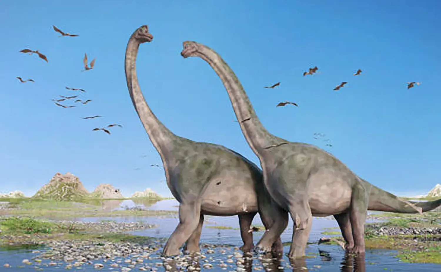 恐竜は生きている限り成長し続けていた