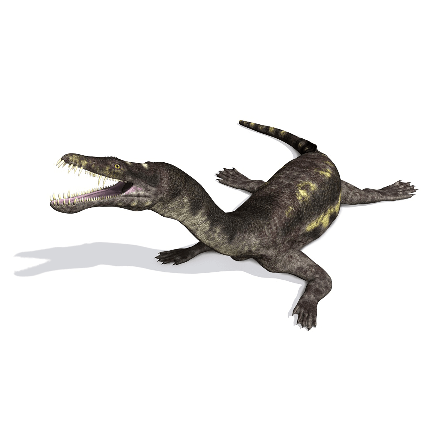ノトサウルス