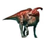 パラサウロロフス