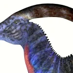 長大なトサカをもっていた