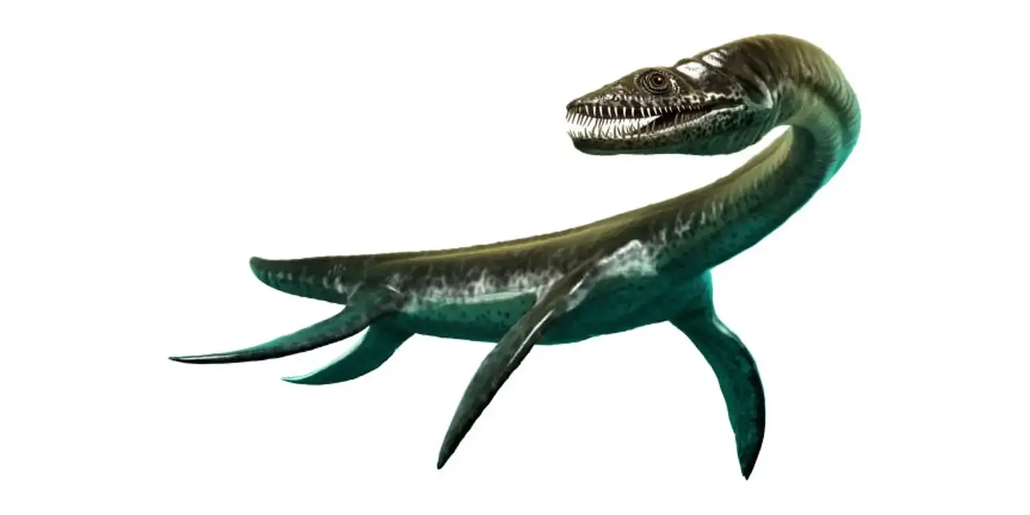 How are plesiosaurs, including Plesiosaurus, thought to have given birth to their young?