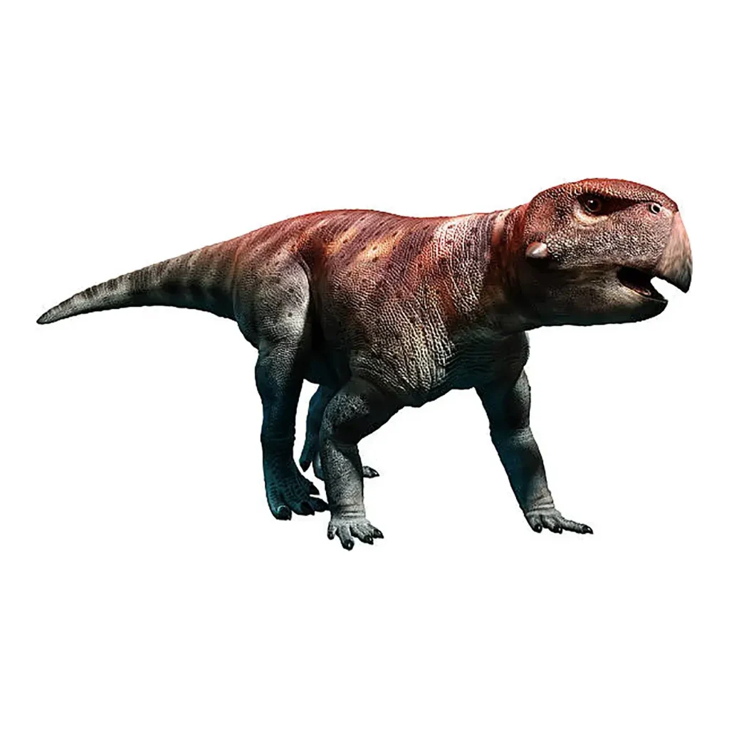 アジア | 恐竜博物館.web