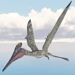 コウモリのように操縦性の高い飛行動物だったと考えられている