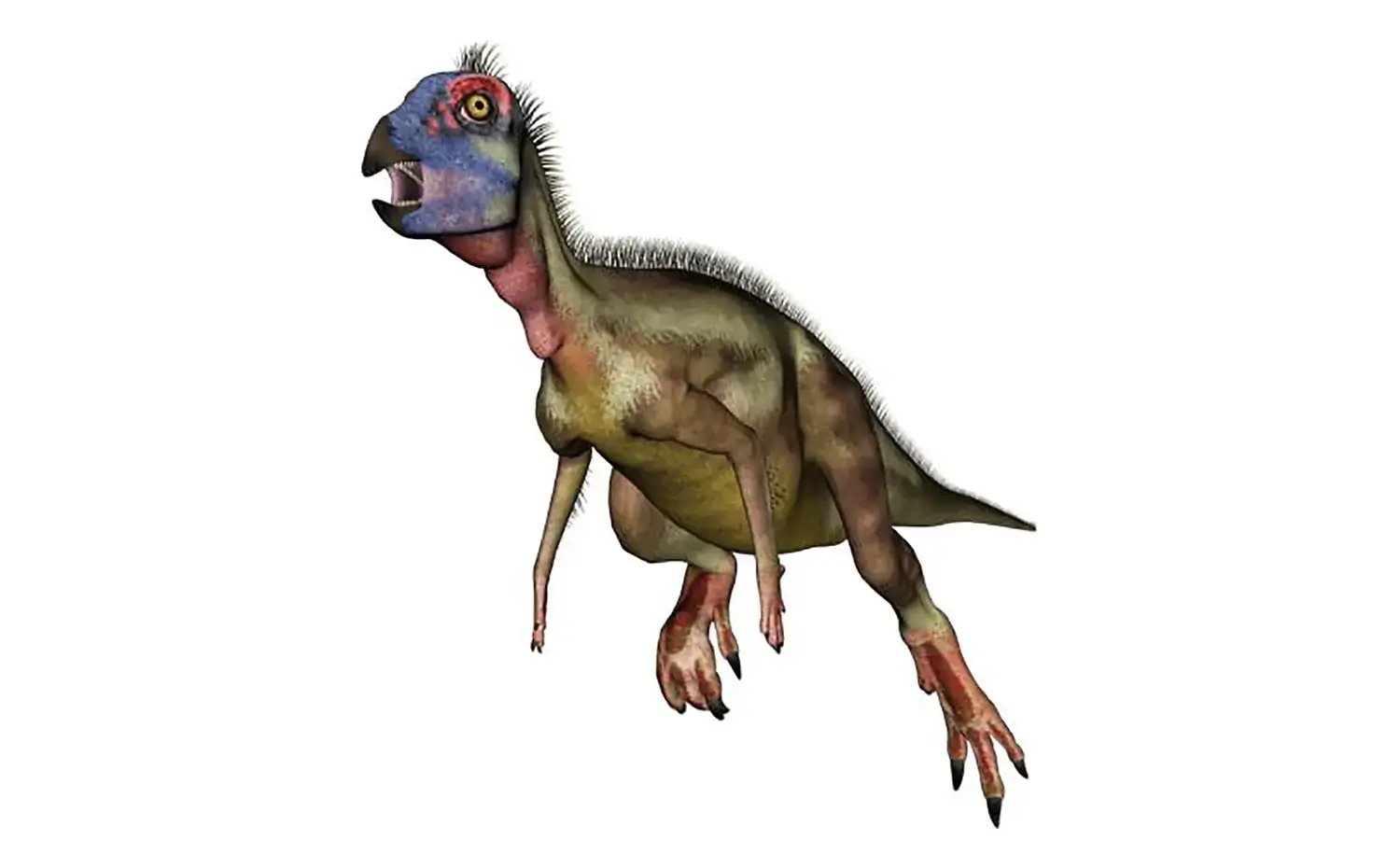 ヒプシロフォドンの仲間の特徴である「大きな目」は、何の役に立った？