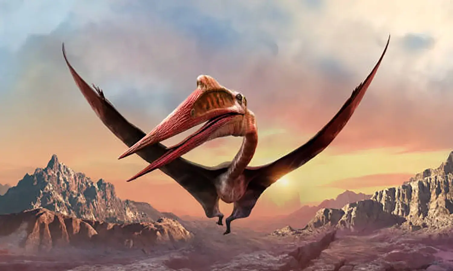 ケツァルコアトルスが翼を広げた時の大きさは次のうちどれ？