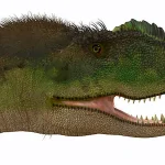 笑い顔のような顔をしていた