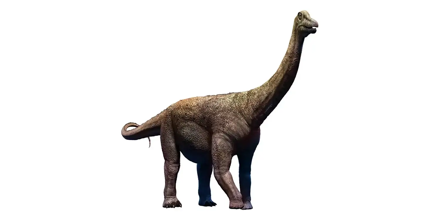 How many eggs is Saltasaurus thought to have laid in a single clutch?