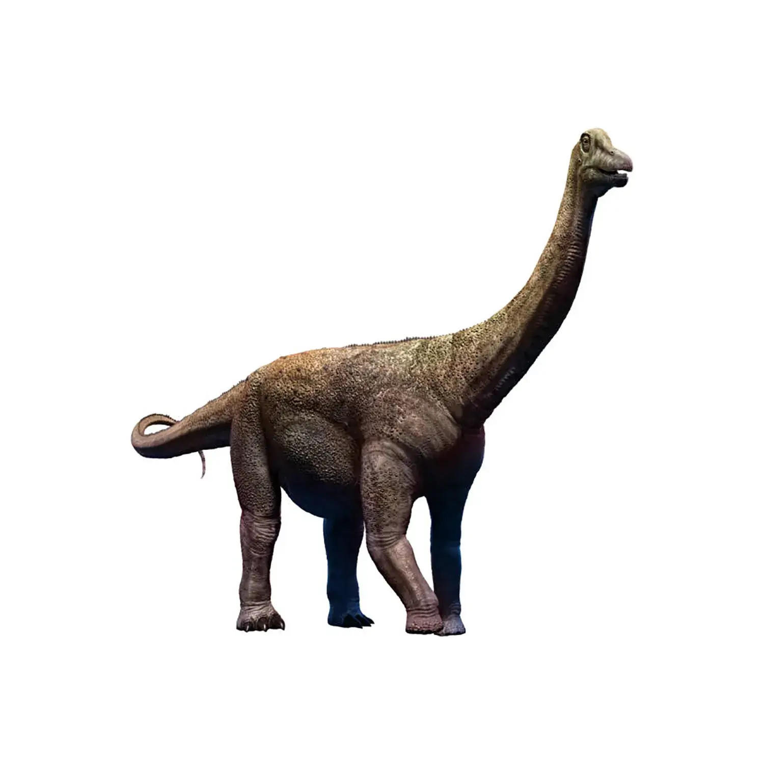 サルタサウルス