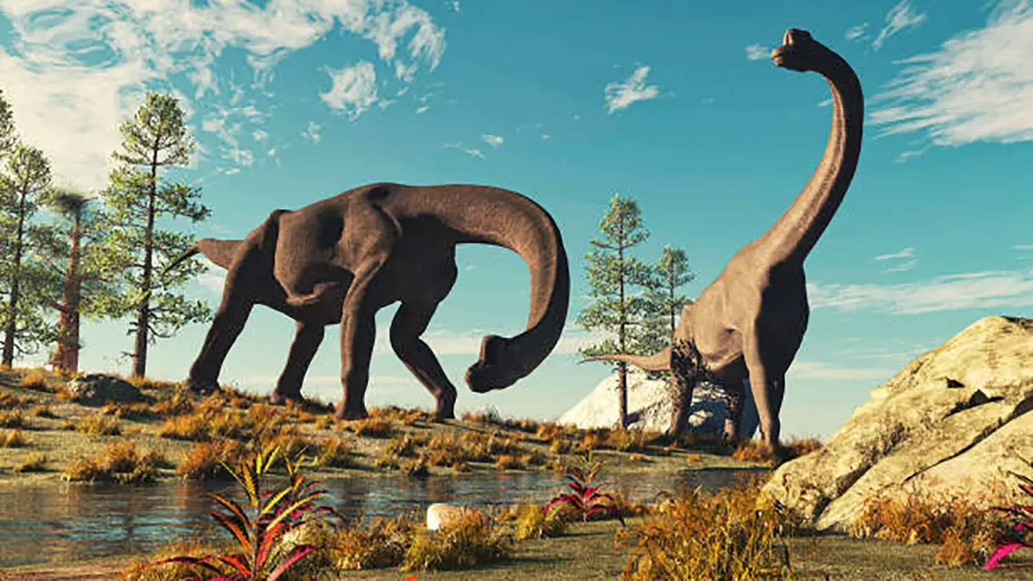 巨大な竜脚形類の恐竜の体の中にあったのは次のうちどれ？