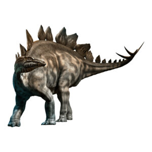ステゴサウルス | 恐竜博物館.web