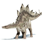 ステゴサウルス
