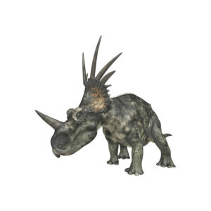 スティラコサウルス (Styracosaurus) | 恐竜博物館.jp
