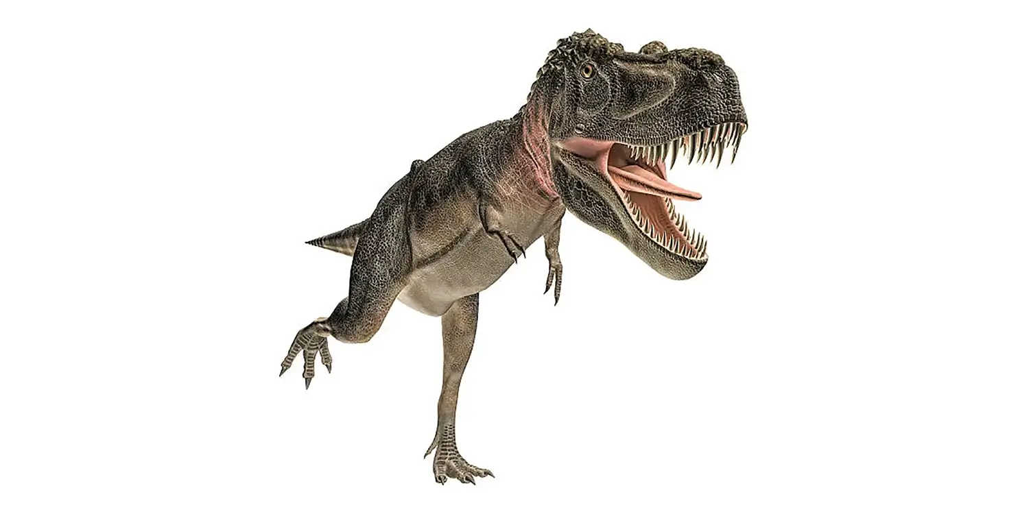 What is a notable feature of the Tarbosaurus fossil record?