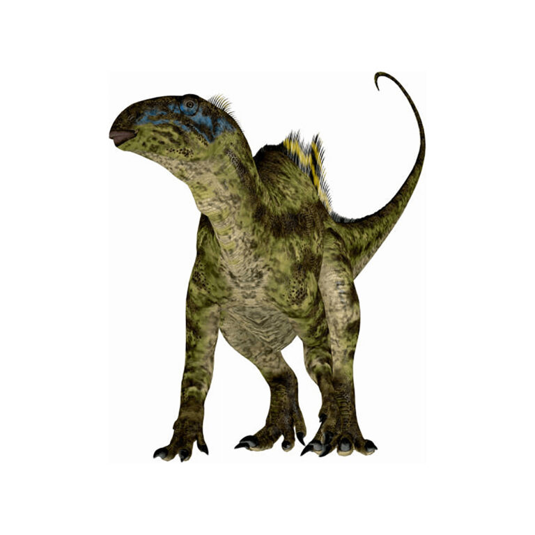 テノントサウルス 恐竜博物館.web