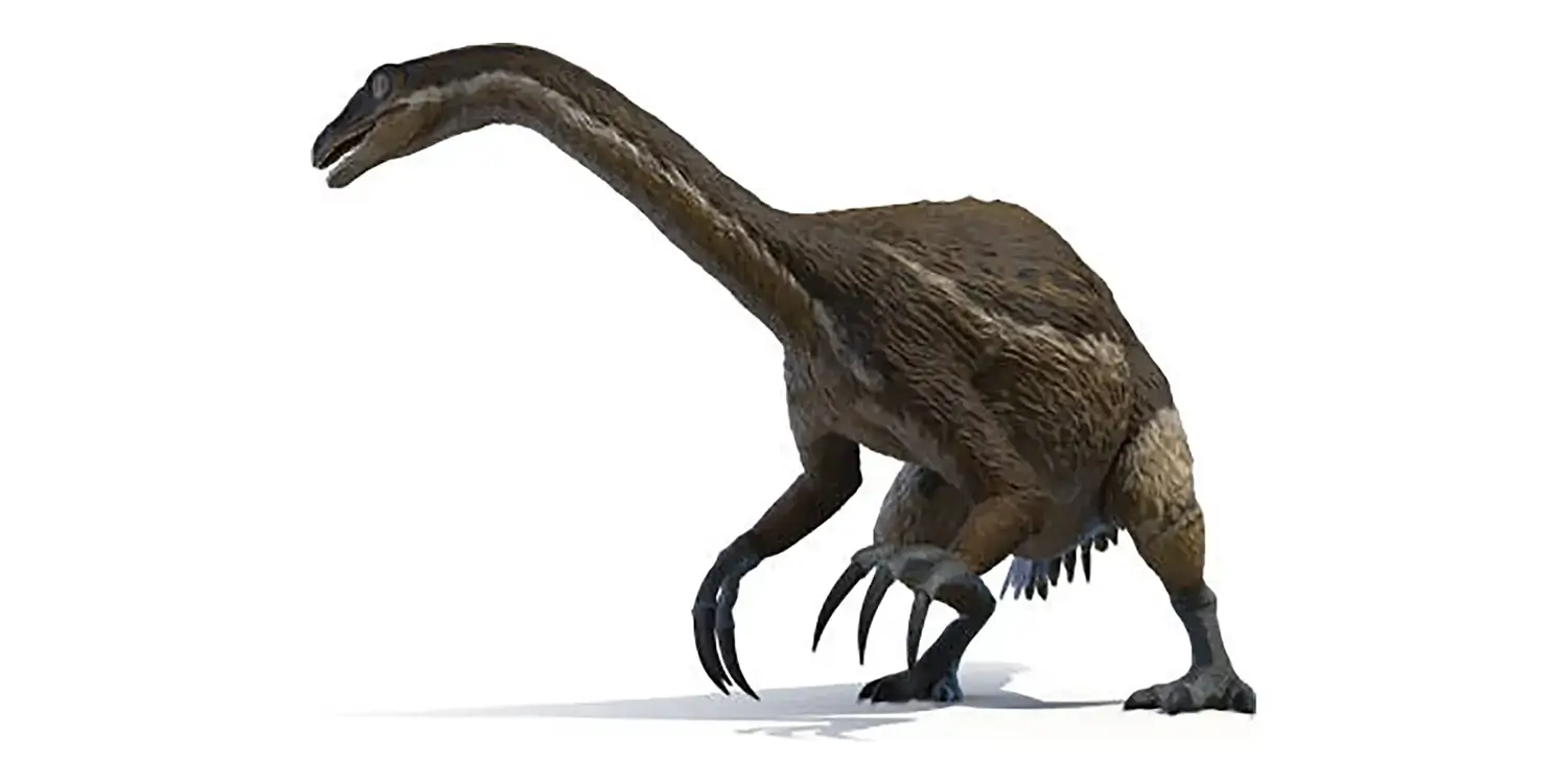 What were the enormous claws of Therizinosaurus most likely used for?