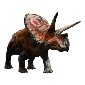 トロサウルス (Torosaurus) | 恐竜大百科