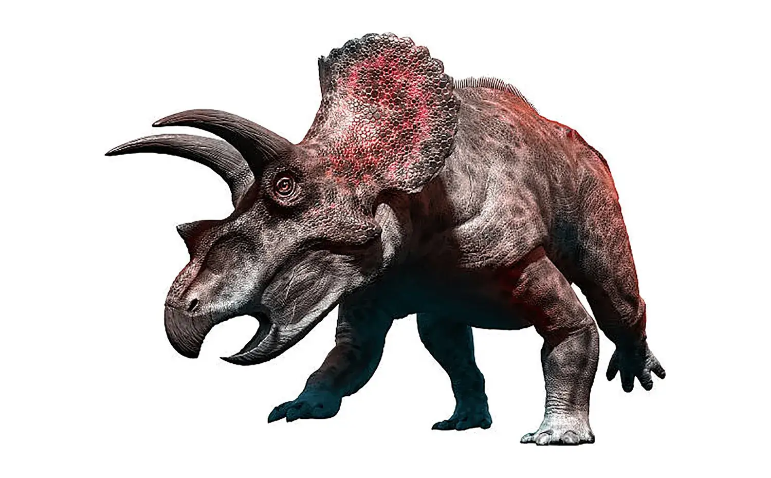 トリケラトプス