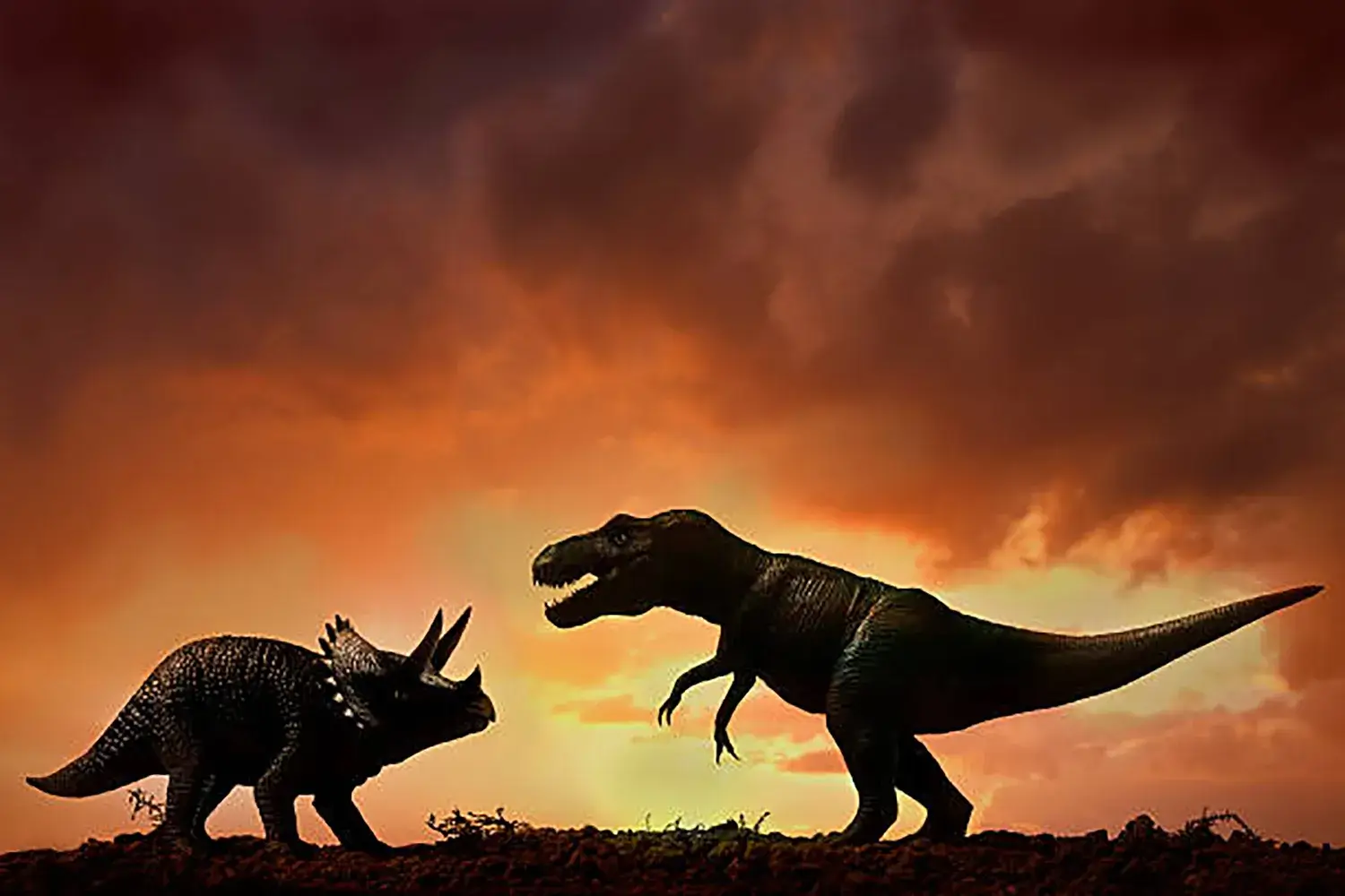 ティラノサウルスのようにどう猛な獣脚類とともに、白亜紀の終末まで生き残っていた。
