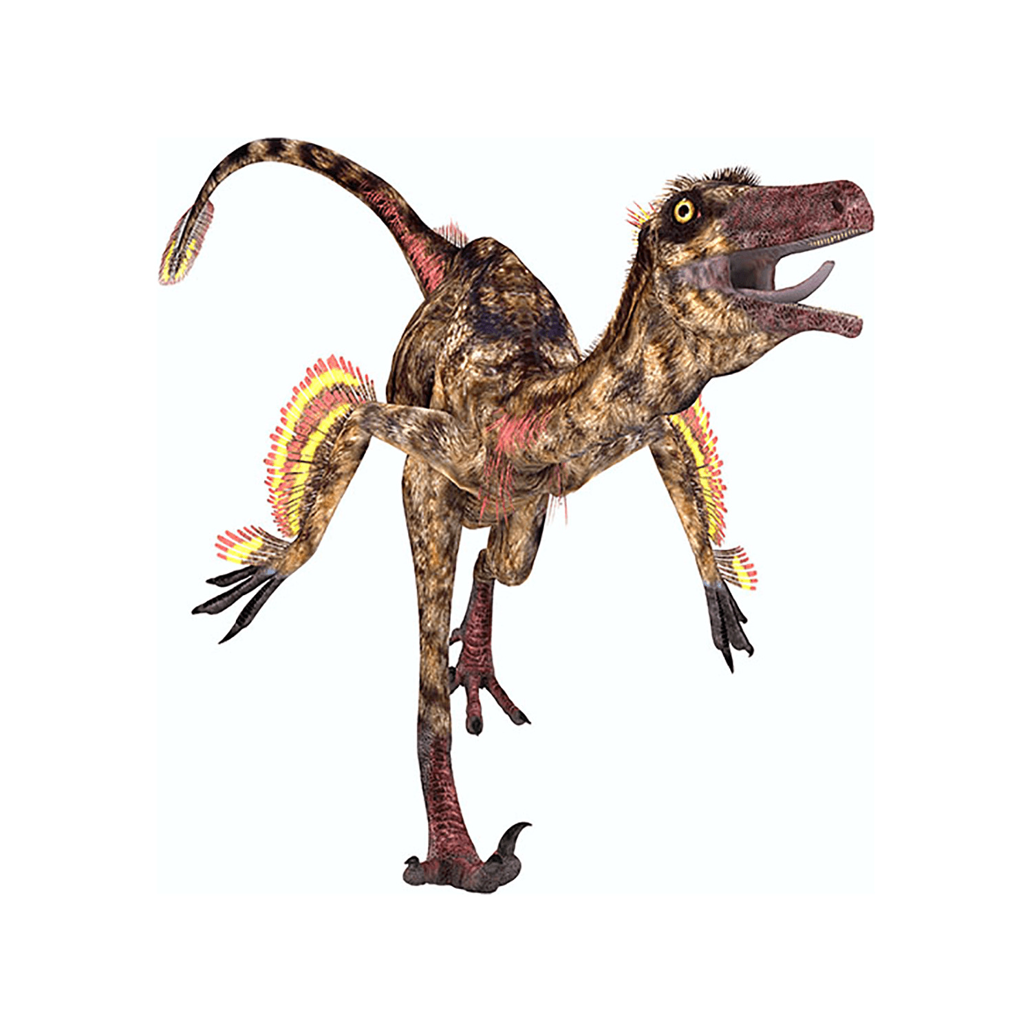 恐竜の歯 [DS196] トロオドン 化石 - resto.bodegagarage.com