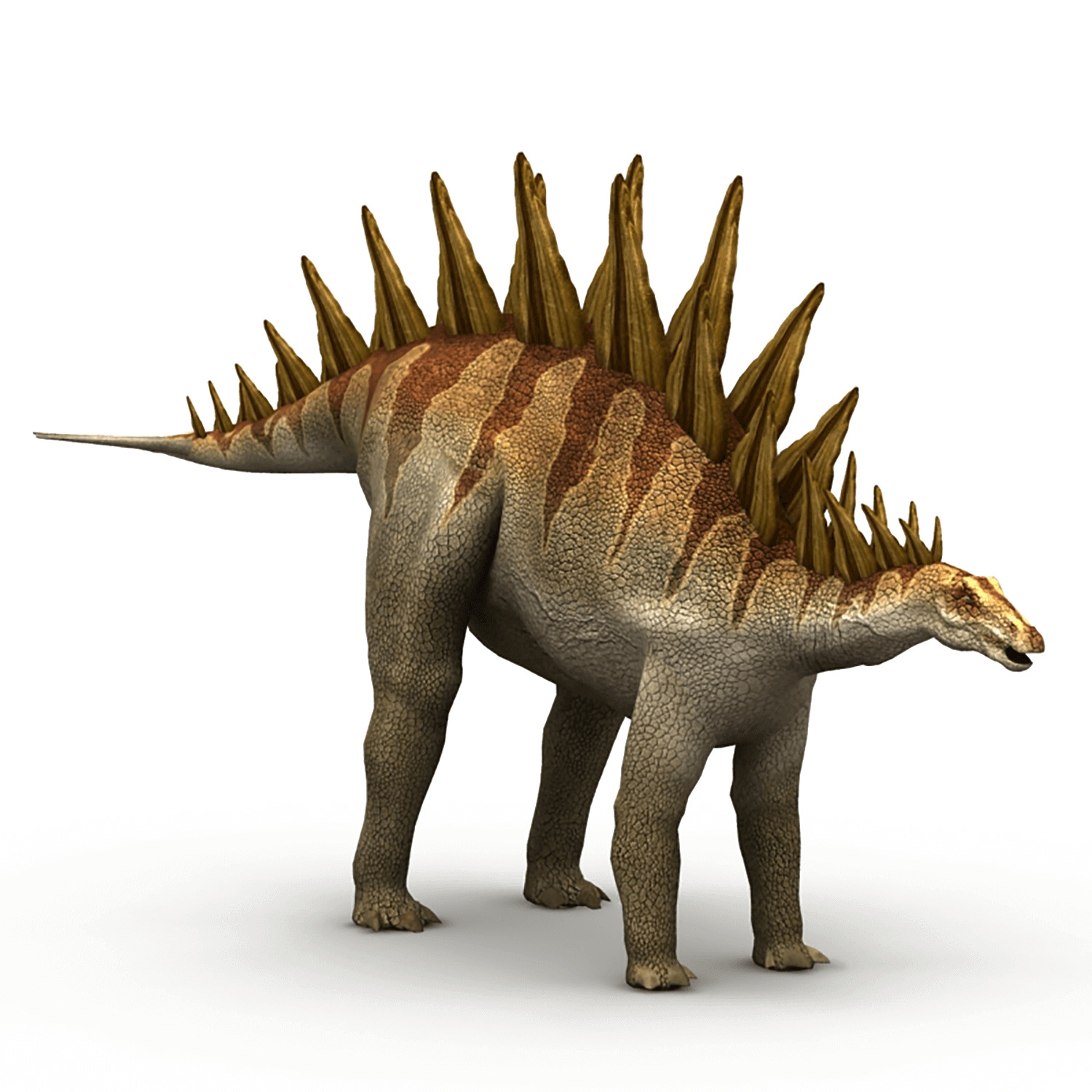 トゥオジアンゴサウルス